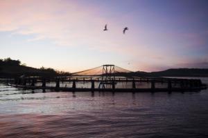 Successful strategies for sustainable salmon